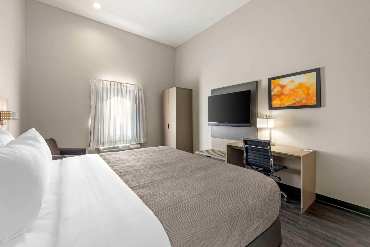Une chambre d’hôtel avec un grand lit, un bureau avec une chaise, une télévision et une fenêtre avec des rideaux.