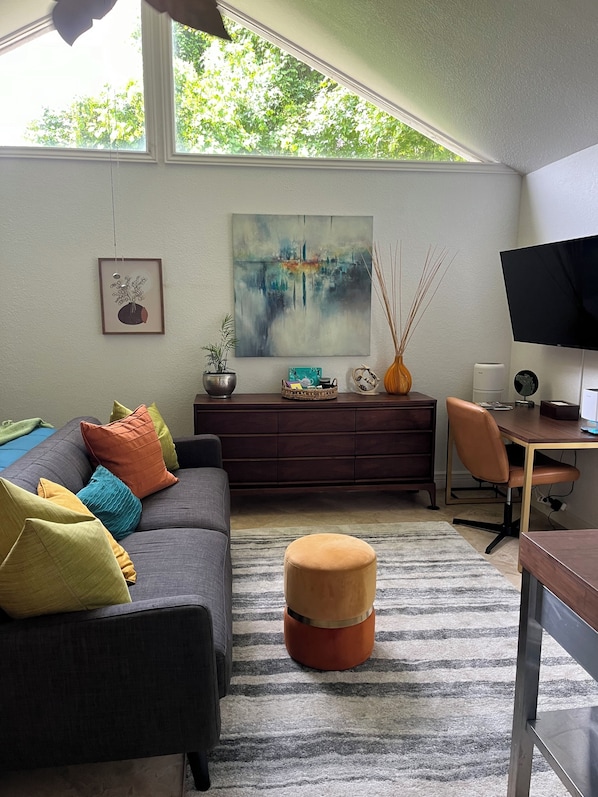 Smart TV, DVD player, books, printers