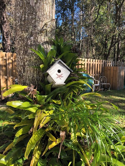 The Studio
Very Private with own entrance!