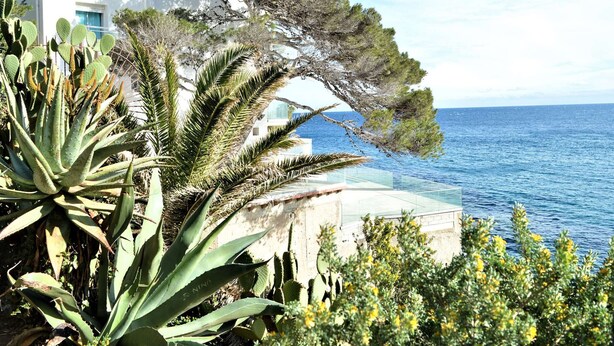 Un edificio costero con piscina que da al mar, rodeado de plantas y árboles diversos.