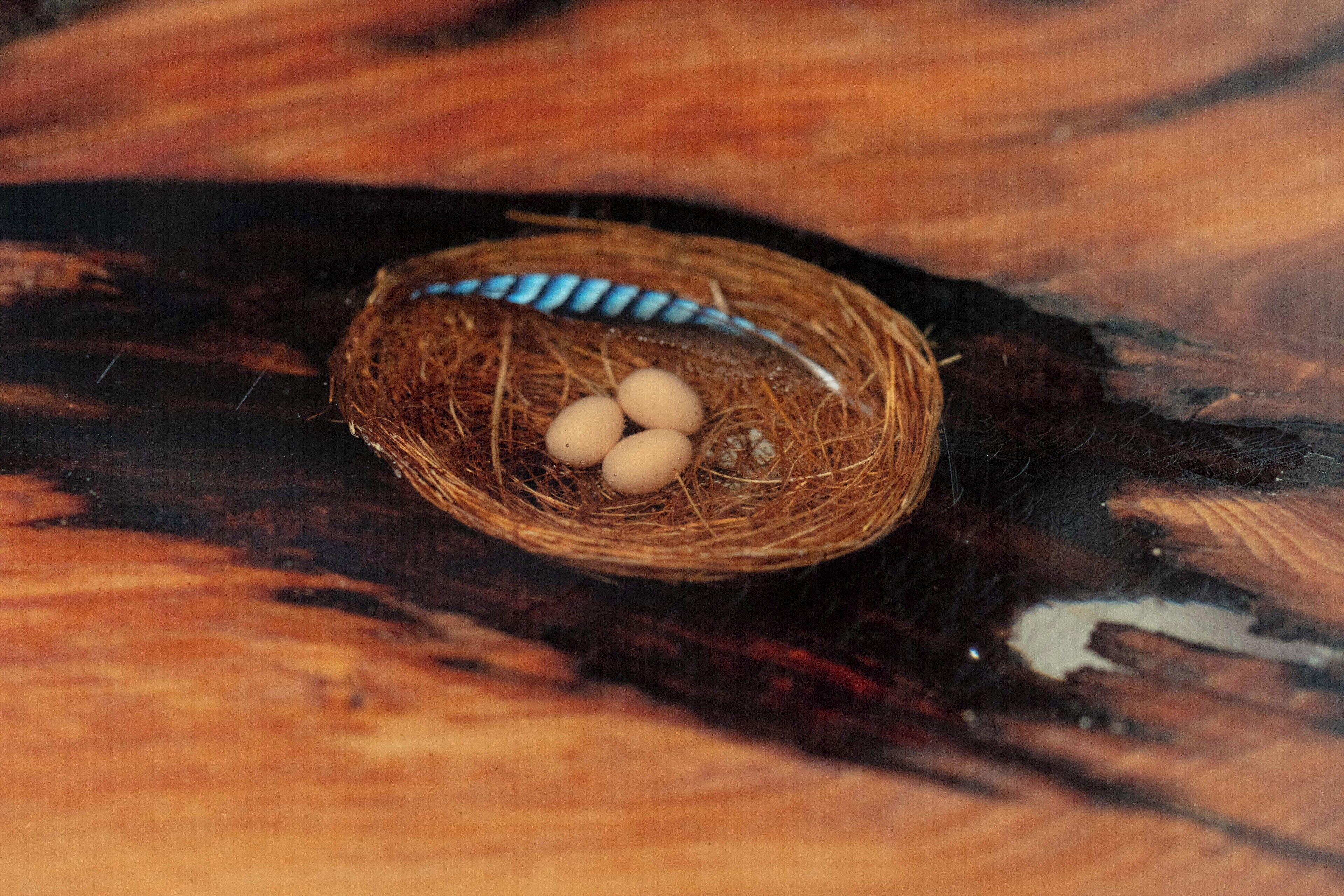 A bird's nest with three eggs on a wooden surface.