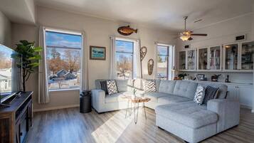 Télévision, cheminée, lecteur de DVD, espaces bureaux