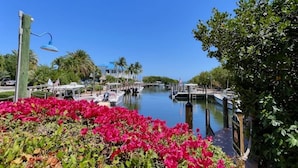 Marina com barcos atracados, céu azul límpido e vegetação exuberante.