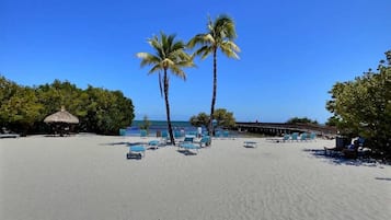 Una playa cerca