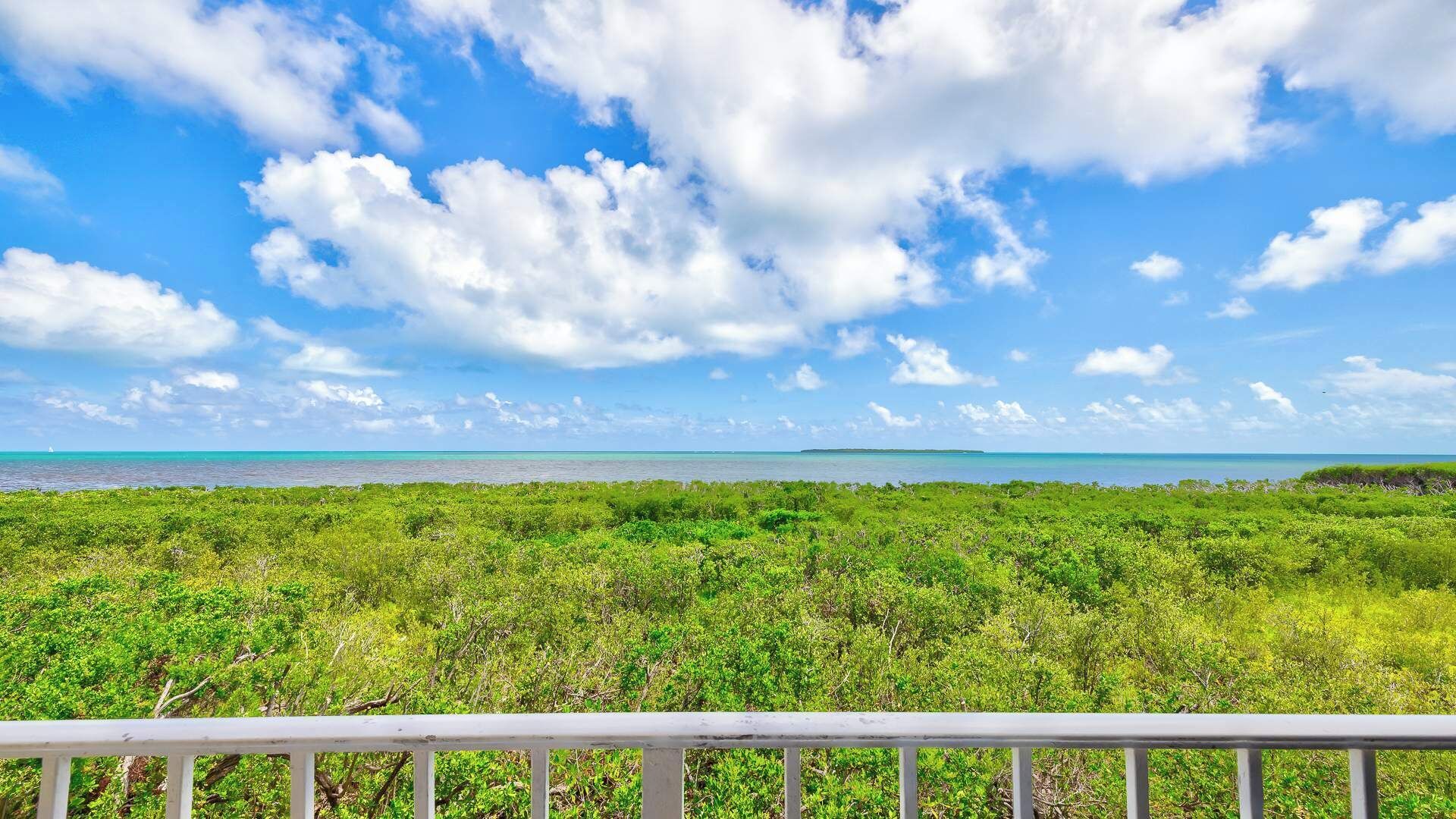 A coastal landscape with a clear sky, a view of the ocean, and dense green vegetation.