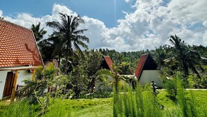 Property grounds - Green Coco Suite (Penida Island)
