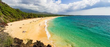 Chaises longues, serviettes de plage