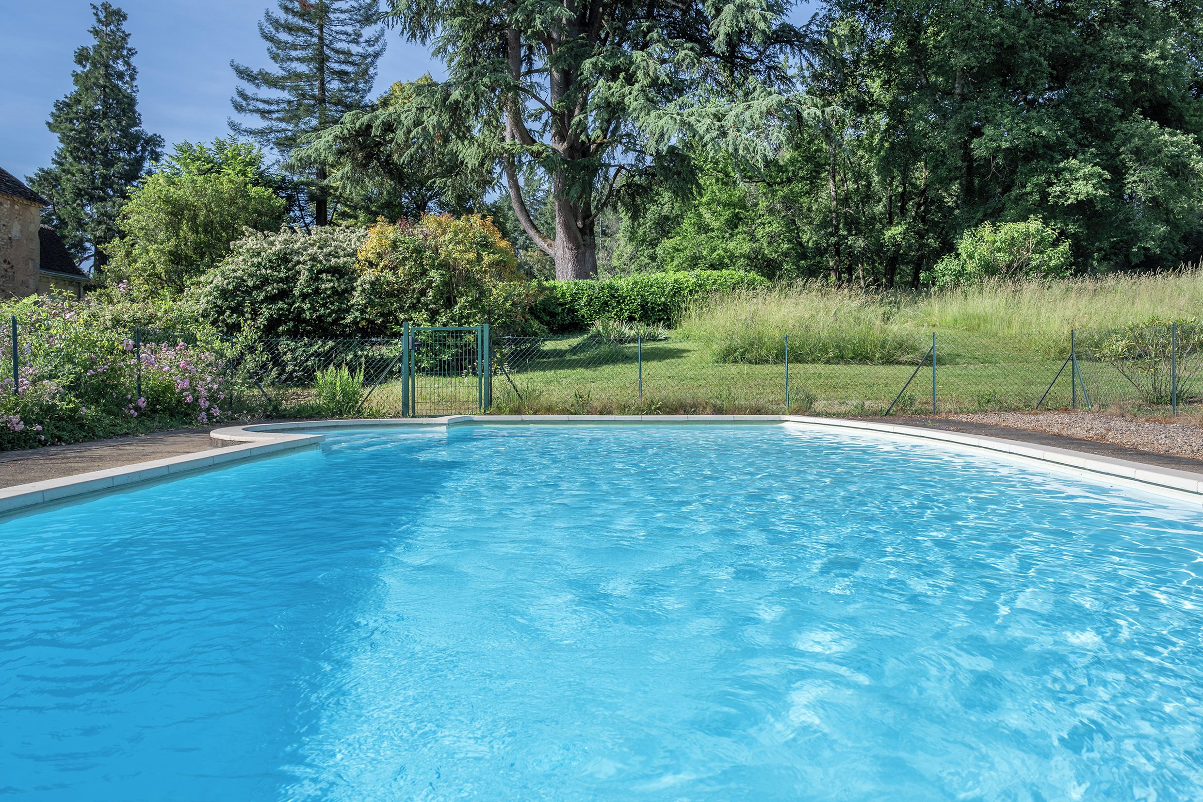 A clear blue swimming pool surrounded by lush greenery and trees.