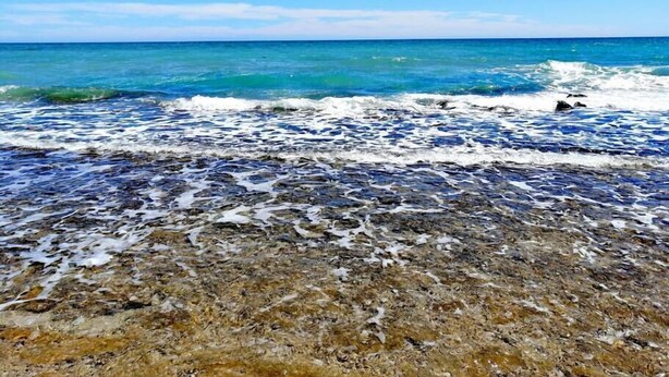 Room - Amazing Location Close to it all Great Price (Puerto Peñasco)