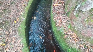 Ein schmaler, künstlich angelegter Wasserlauf in einer bewaldeten Gegend mit steiniger Uferböschung und mit Laub bedecktem Boden.