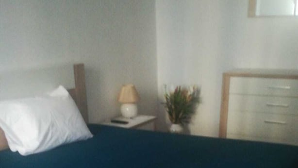 Ein Schlafzimmer mit einem Bett, einem Nachttisch, einer Lampe, einer Pflanze und einer Kommode.