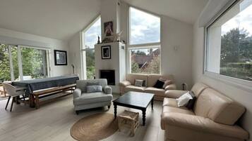 TV connectée, cheminée, livres