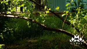 A green metal structure with a large open window and a wooden beam above it, surrounded by greenery. - Gipsy Village (Tetritskaro)
