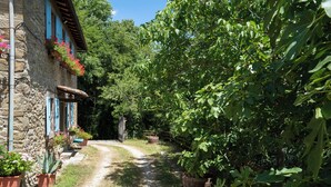 A stone building with a dirt path leading to a wooden gate. - Podere La Vigna (Borgo San Lorenzo)