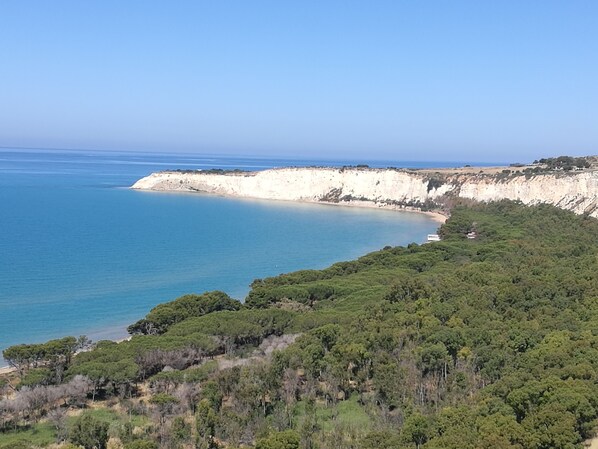 A coastal landscape with cliffs and dense greenery.