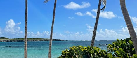 Beach nearby, sun-loungers, beach towels