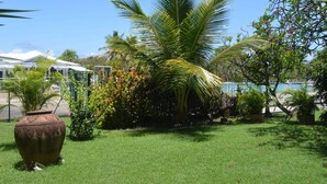 A well-maintained garden with a large palm tree, various flowering plants, and a decorative pot. - Ti Cocon de Standing (Saint-François)