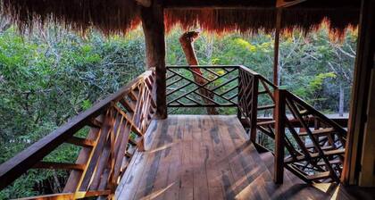 Öko-Luxushütte 100 Meter von Cenote Dos Ojos entfernt!