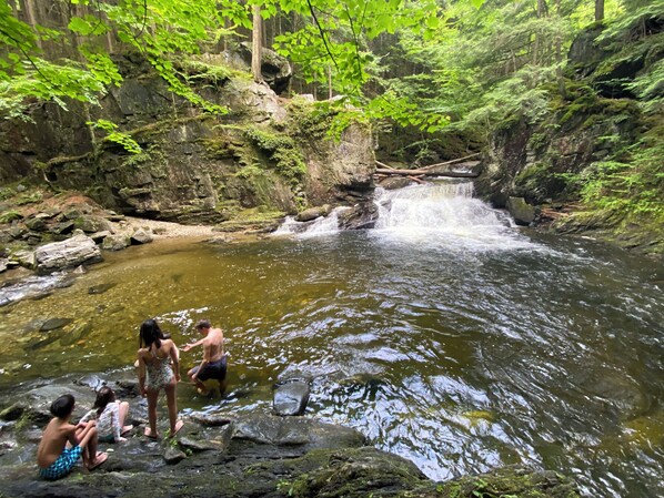 A natural water feature with a waterfall, surrounded by rocks and greenery. - The Victorian - Reunite, Explore, Indulge! (Johnson)