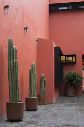 Courtyard - Casa Tonal (Mexico City)