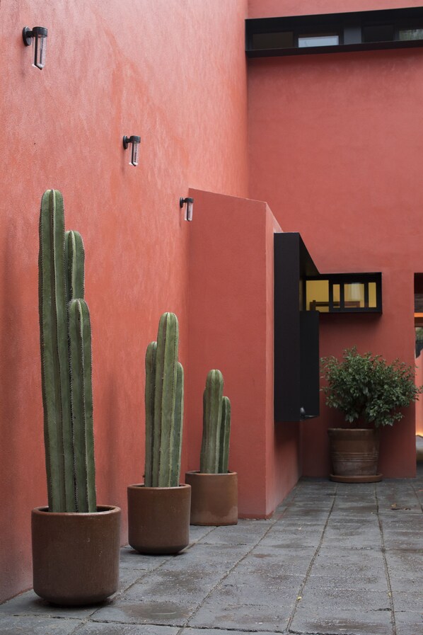 Une cour avec trois grands cactus en pot, adossés à un mur rouge, une fenêtre à cadre noir et une plante en pot.