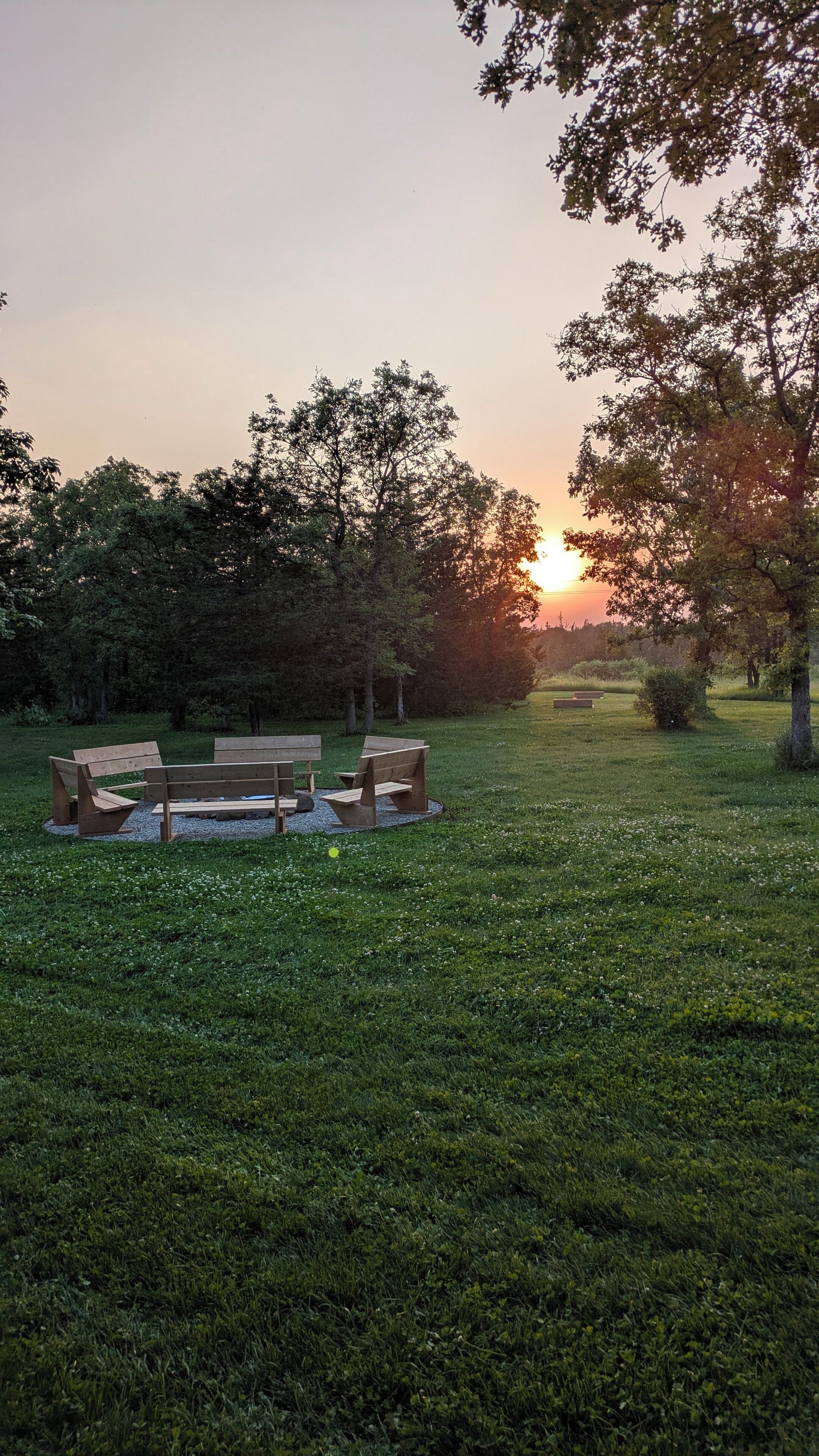 A park with a wooden bench and a circular seating area surrounded by grass and trees.