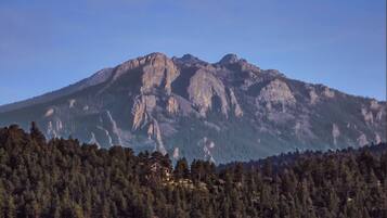 Cabin, 1 Bedroom | Property grounds