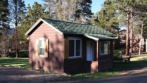 Une petite cabane avec un toit vert, un revêtement en bois et une fenêtre à l’avant.