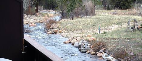 Condo, 1 Bedroom | Property grounds