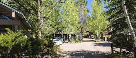 Studio | Property grounds