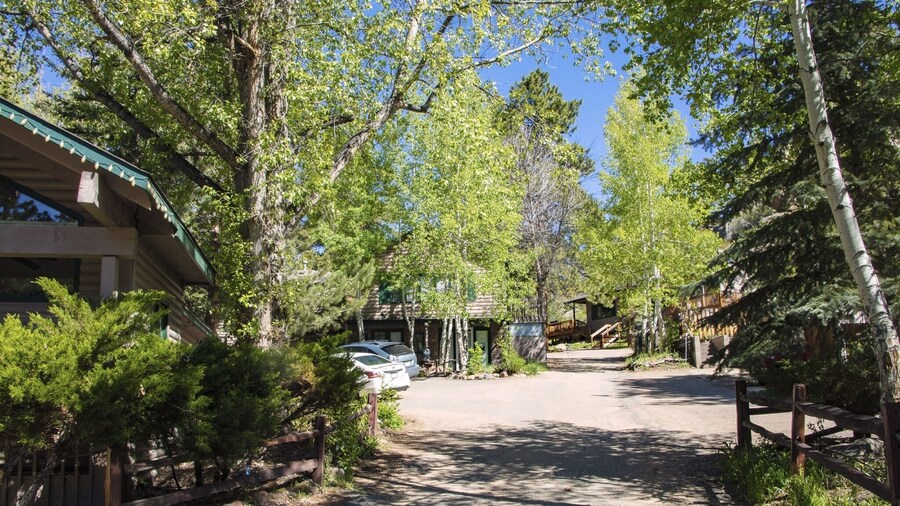 Sunnyside Knoll: 19 1 Bedroom Apts