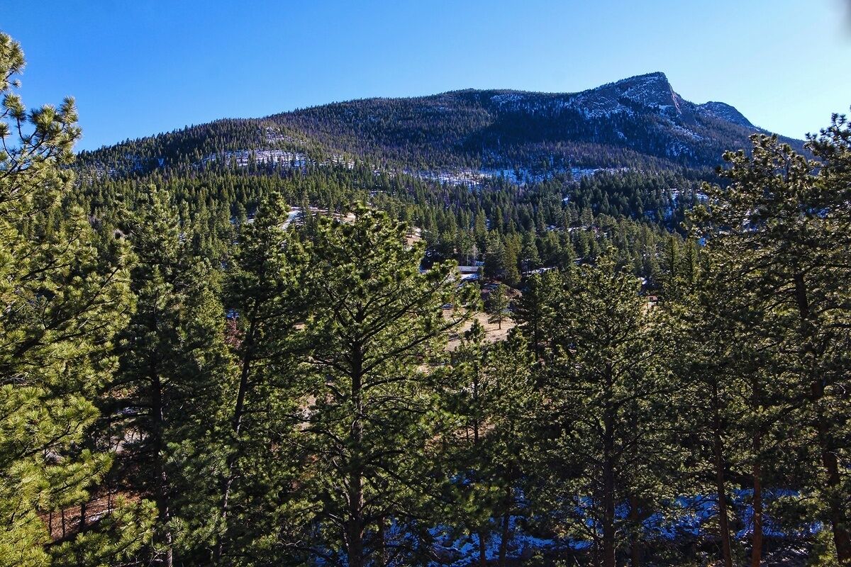 A mountainous landscape with dense forests and a clear sky.