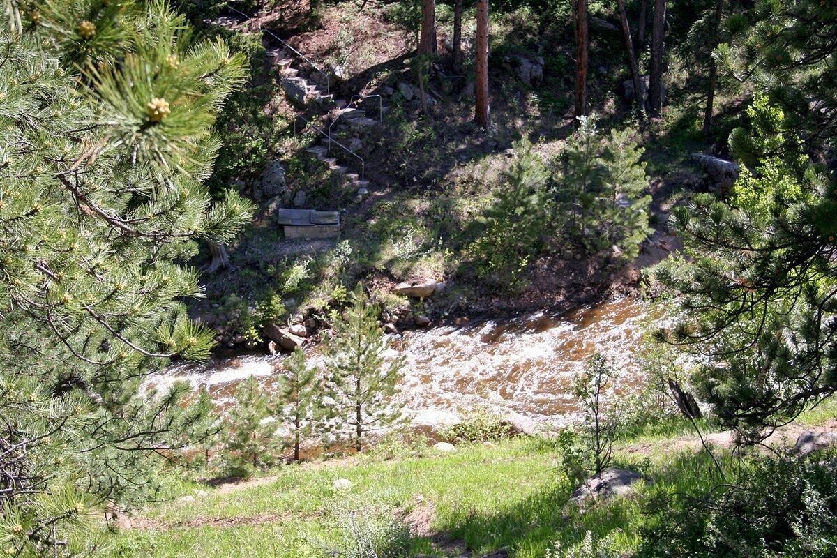 A natural landscape with a rocky stream, dense pine trees, and a wooden bench.