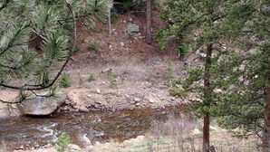 A natural landscape with a stream, trees, and a rocky hillside. - Fawn Valley Inn: 296 1 Bedroom Apts (Estes Park)