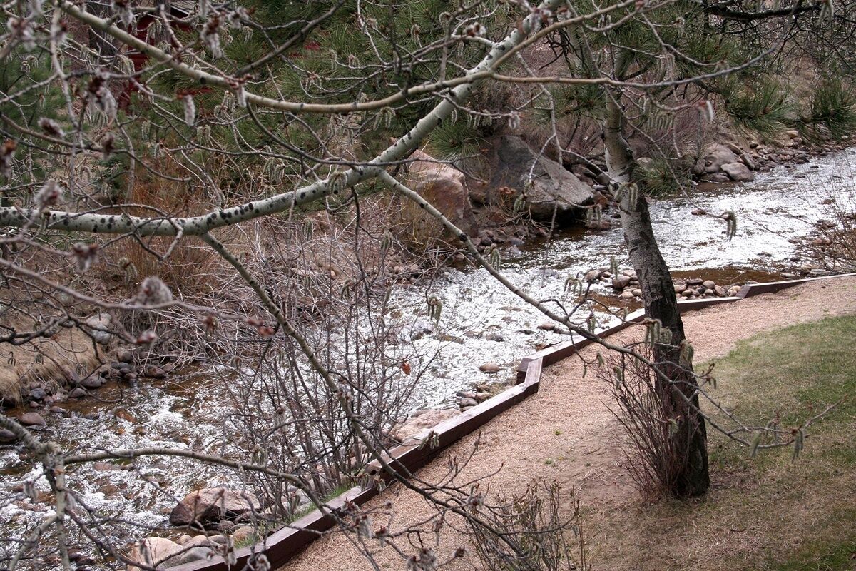 A river with a wooden walkway alongside it, surrounded by trees and rocks.