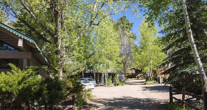 Sunnyside Knoll: 12 1 Bedroom Apts
