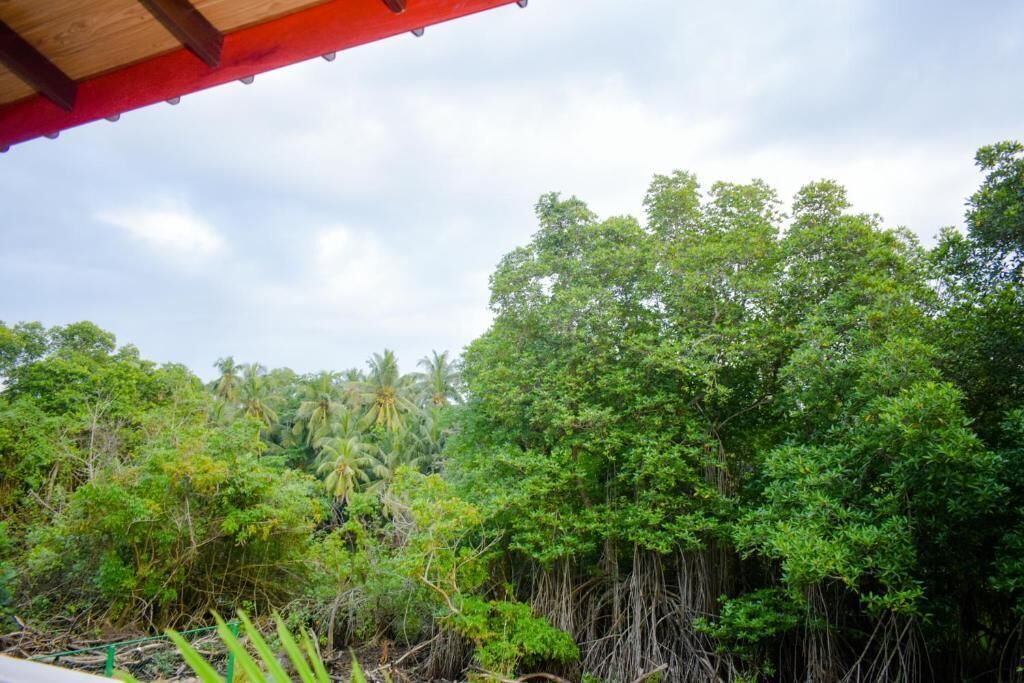 Deluxe Apartment | Terrace/patio