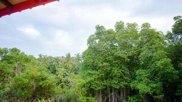 Deluxe Apartment | Terrace/patio