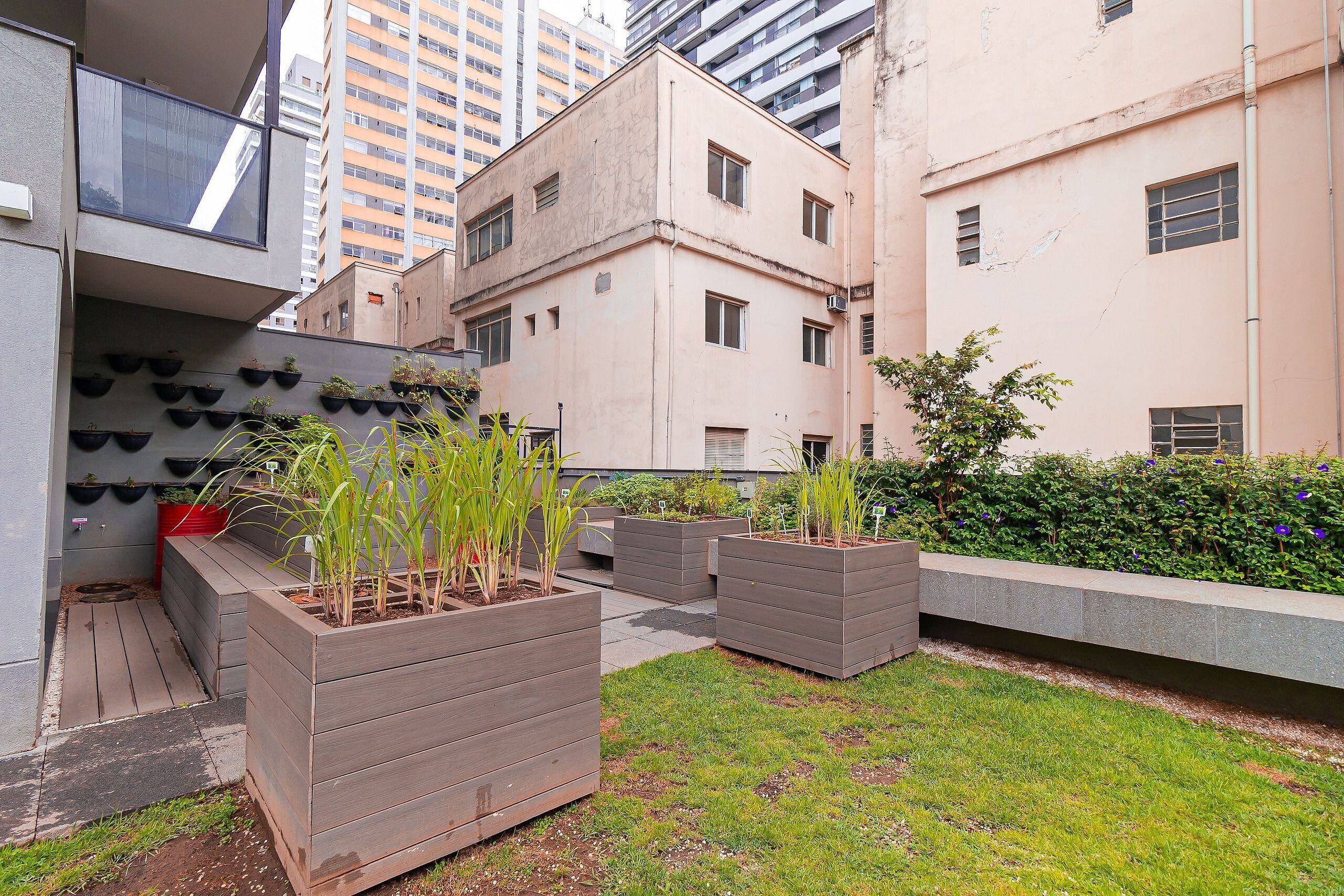 Un patio con jardineras, un pequeño jardín y un edificio con varias ventanas y balcones.