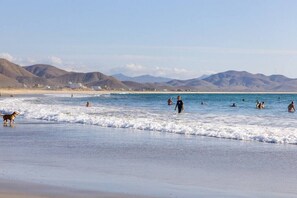 Una spiaggia con persone che nuotano e passeggiano, un cane sulla riva e montagne sullo sfondo.