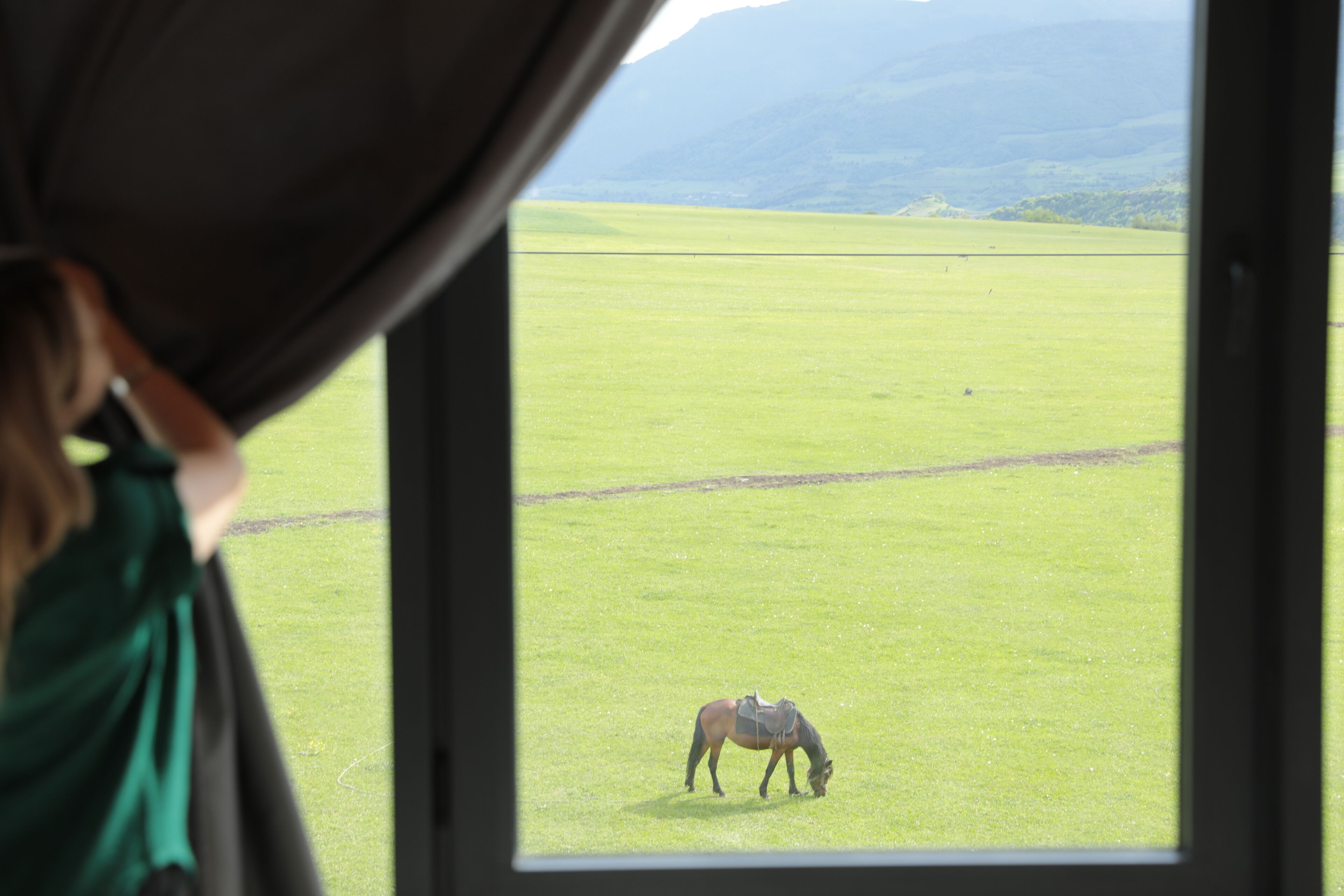 Un caballo pastando en un campo, visto a través de una ventana.