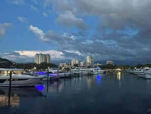 Stunning marina views of the city skyline.