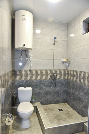 Suite | Bathroom | Shower, rainfall showerhead, free toiletries, hair dryer