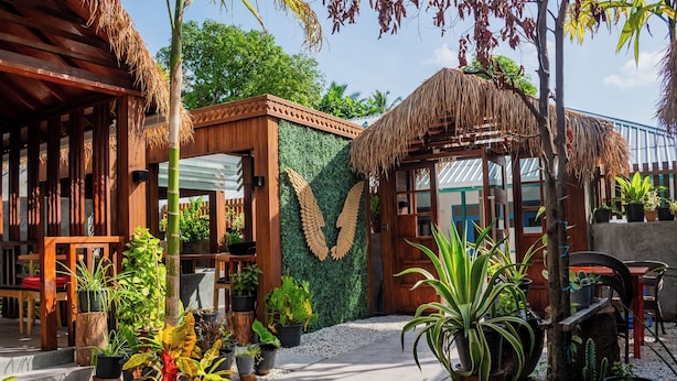 A tropical-style building with wooden structures and thatched roofs, surrounded by various potted plants and a gravel pathway.