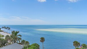 Ein Küstenblick mit blauem Himmel, sandigem Strand und Palmen.