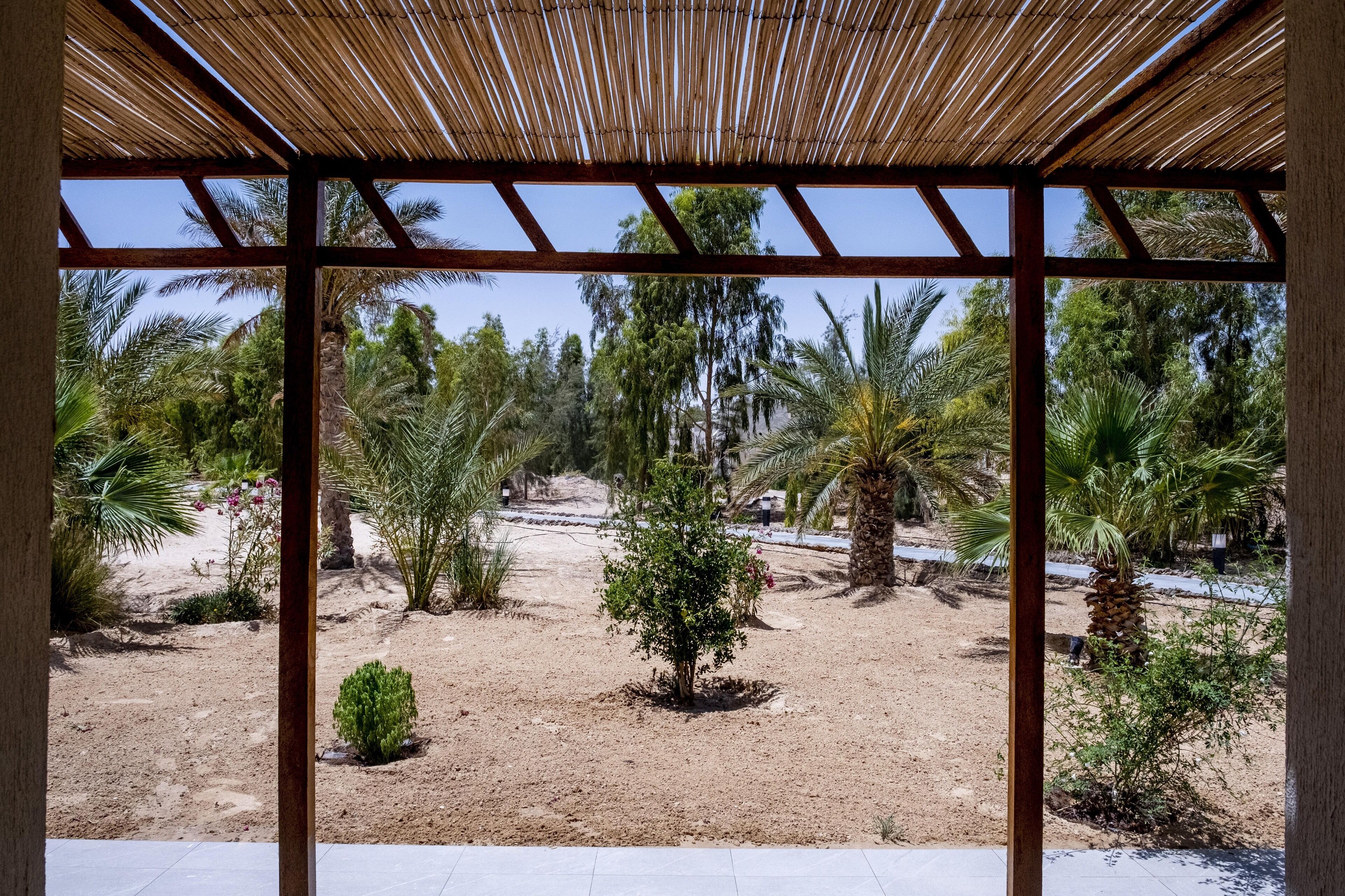 Un espacio al aire libre techado con vistas a un paisaje desértico, palmeras y un pequeño árbol en el centro.