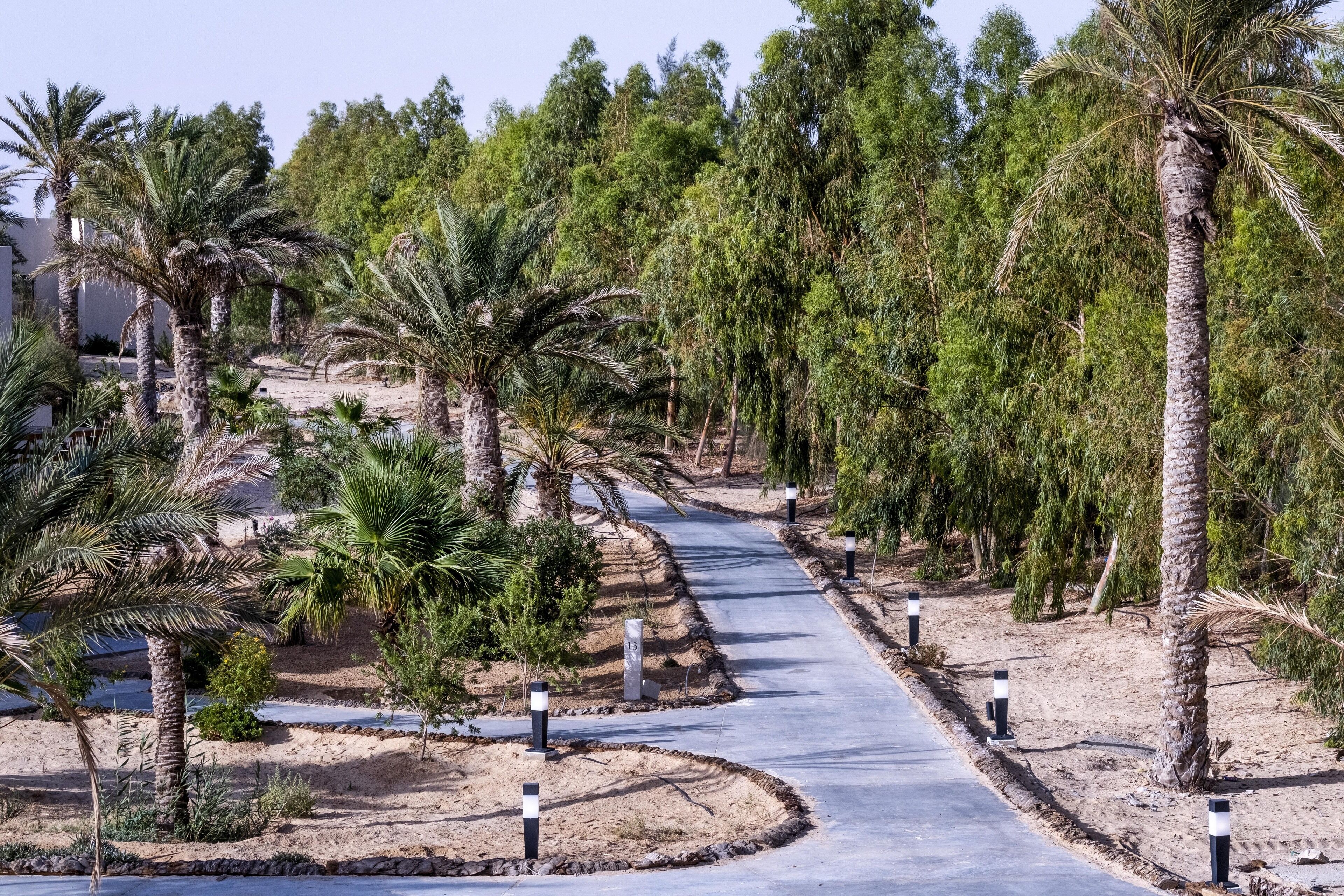 A paved pathway flanked by palm trees and other greenery, leading through a landscaped area with a clear sky.