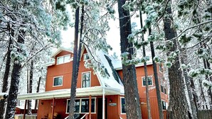 Une cabane dotée d’un porche, entourée d’arbres couverts de neige.