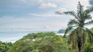 Una piscina con vista al océano y palmeras.