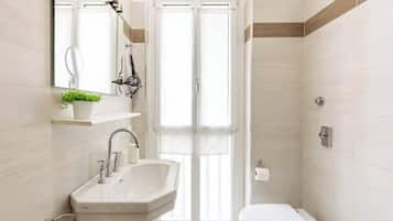 Shower, hair dryer, bidet, towels
